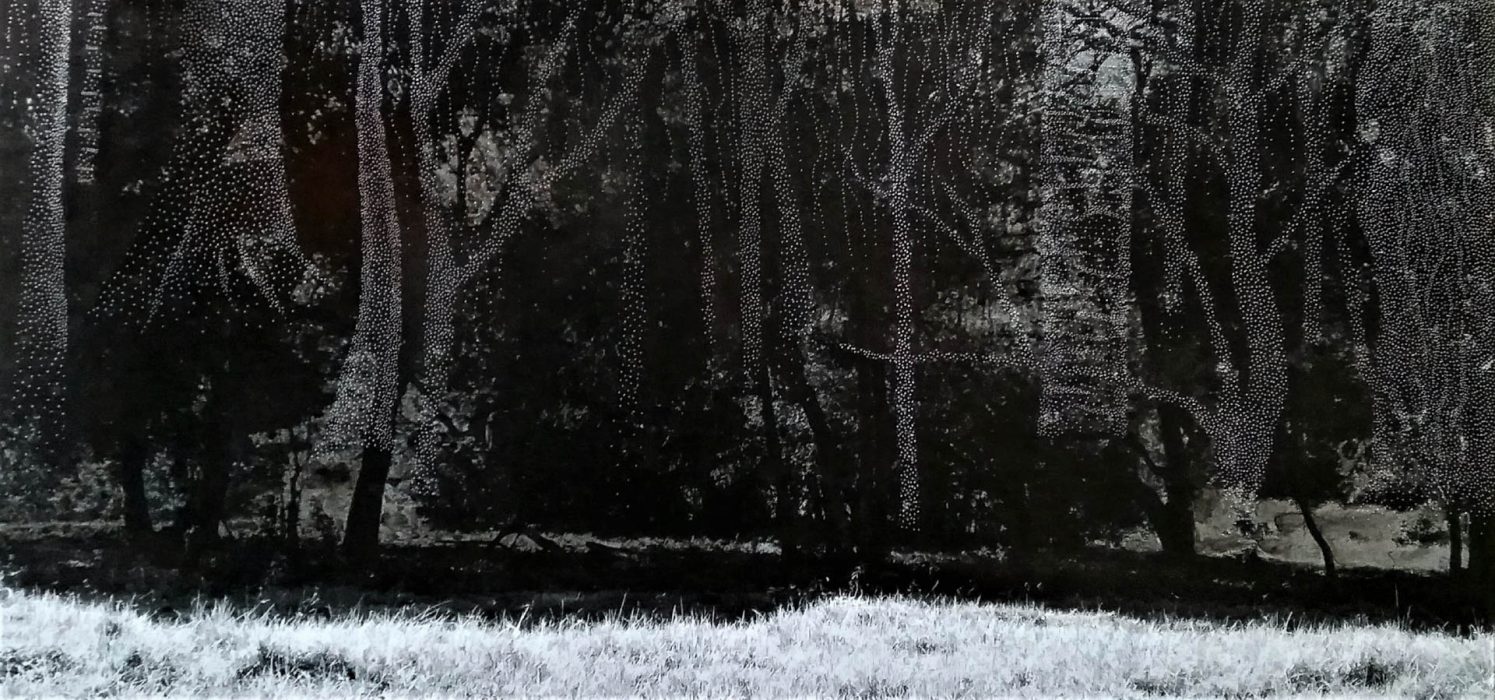 Juliana Hoffmann, Levitação, 2019