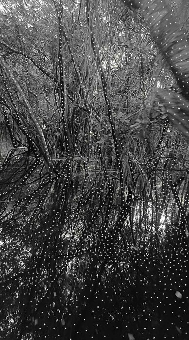 Juliana Hoffmann, Como a fluidez daquilo que jamais termina, 2025