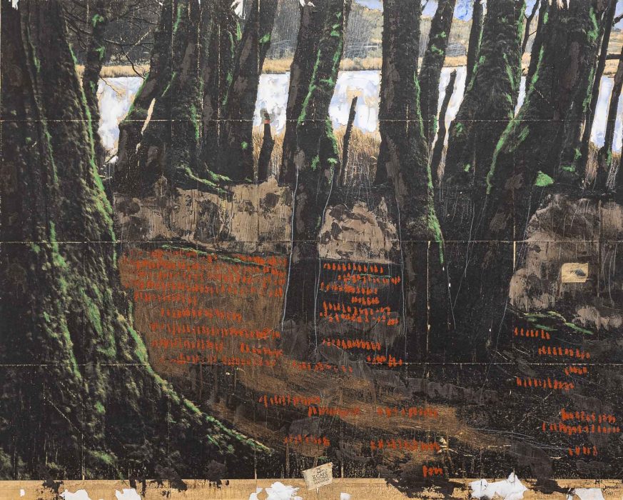 Paulo Gaiad. Patagonia, 150 x 120 cm, 2015