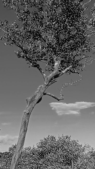 Juliana Hoffmann, Enfim à eternidade, 2025