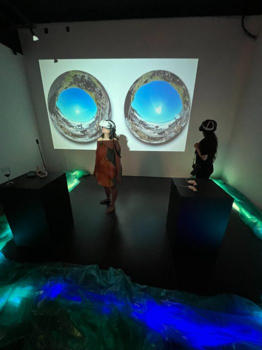 Carol Berger - Laboratório de Dança Imersiva