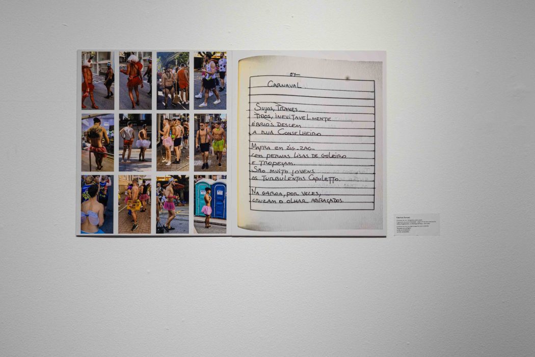 carnavais ambiente pro site-10