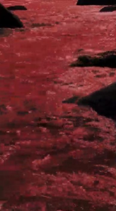 frame Ilhas de Força. Luciana Petrelli